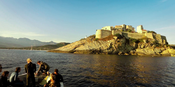Session imminente sur l'épave du B17 au pied de la citadelle de Calvi