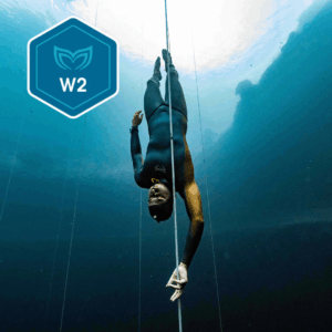 FORMATION wave 2 Molchanovs