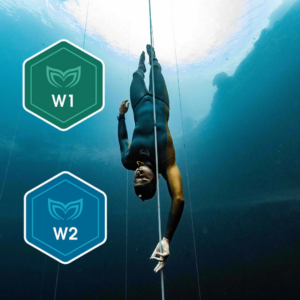 Crossover Formations Wave 1 et Wave 2 Molchanovs